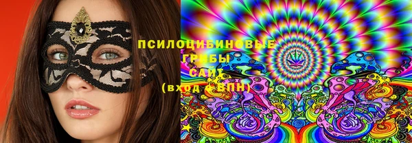 твердый Аркадак