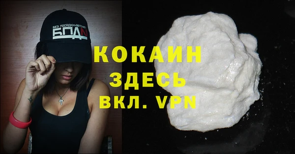 винт Горняк