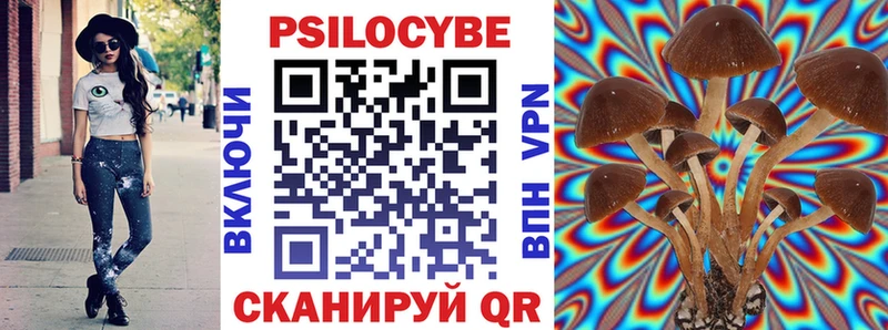 Псилоцибиновые грибы GOLDEN TEACHER  OMG как войти  Волчанск 